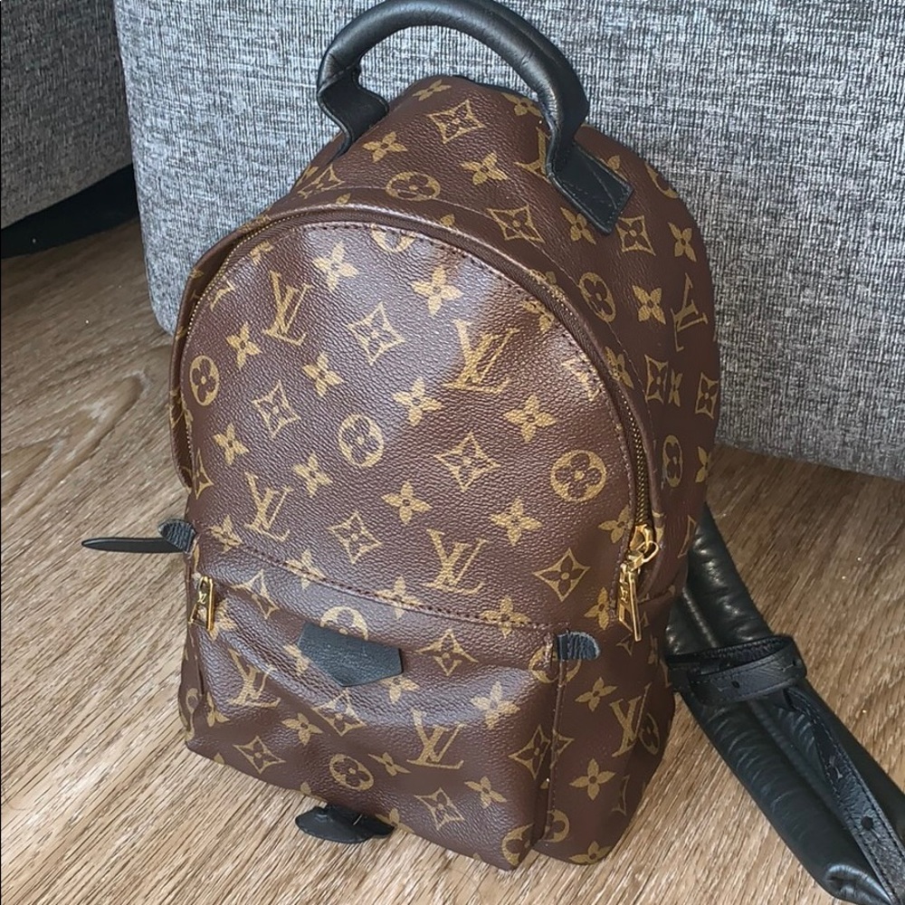 LOUIS VUITTON Monogram Palm Springs Backpack